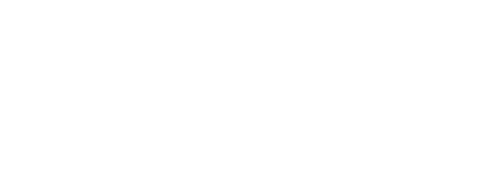 Dra. Anna Cecilia Andriolo